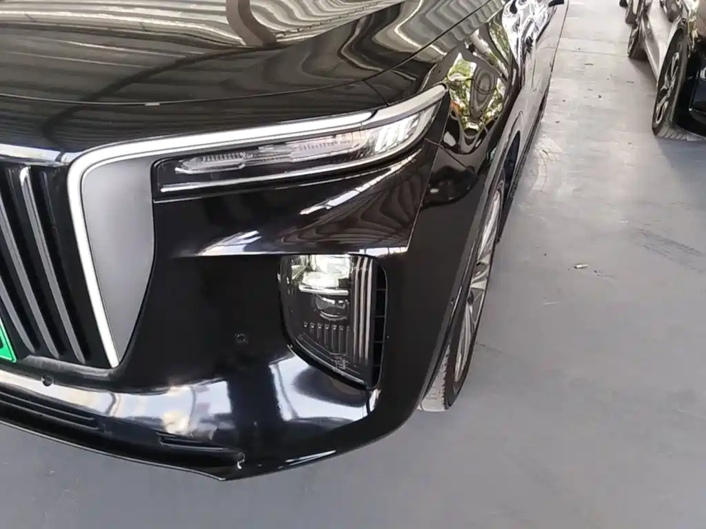 Hongqi Hongqi E-HS9 — миниатюра 24