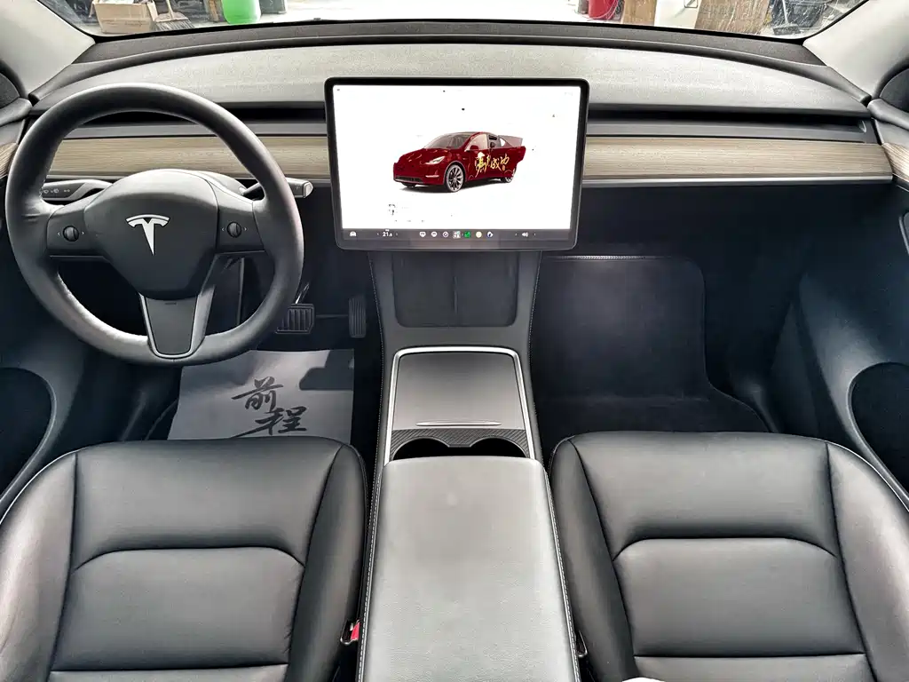 Tesla Model Y — миниатюра 10