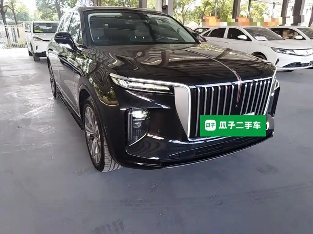 Hongqi Hongqi E-HS9 — миниатюра 4
