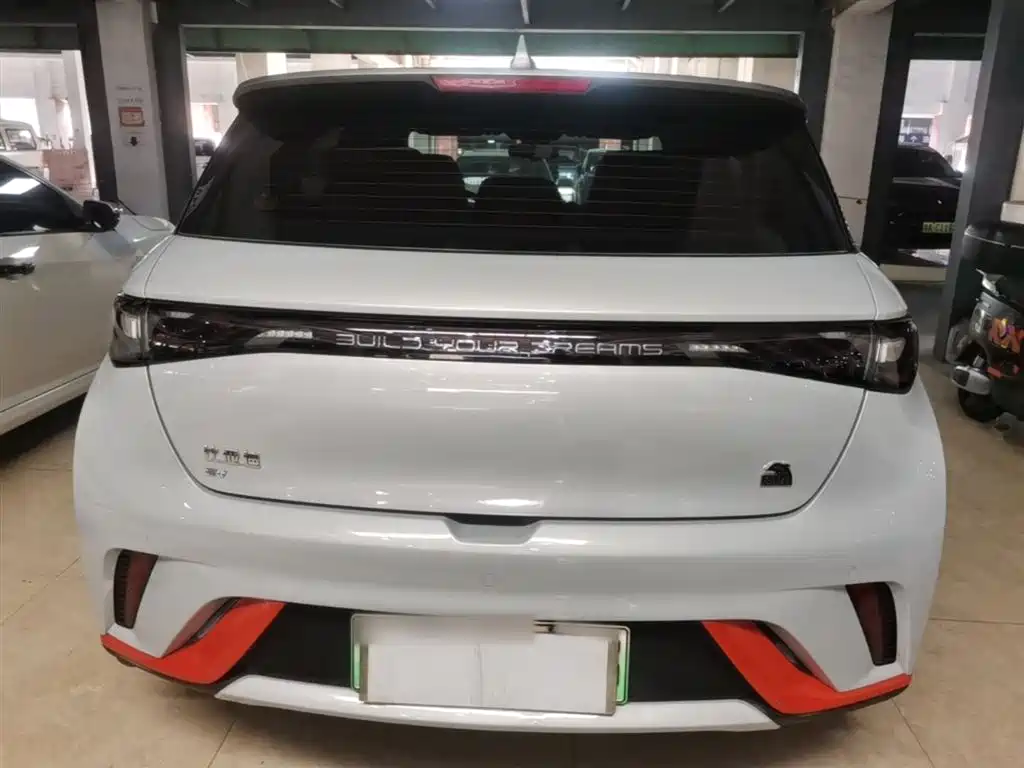 BYD Dolphin 2021 405km Fashion