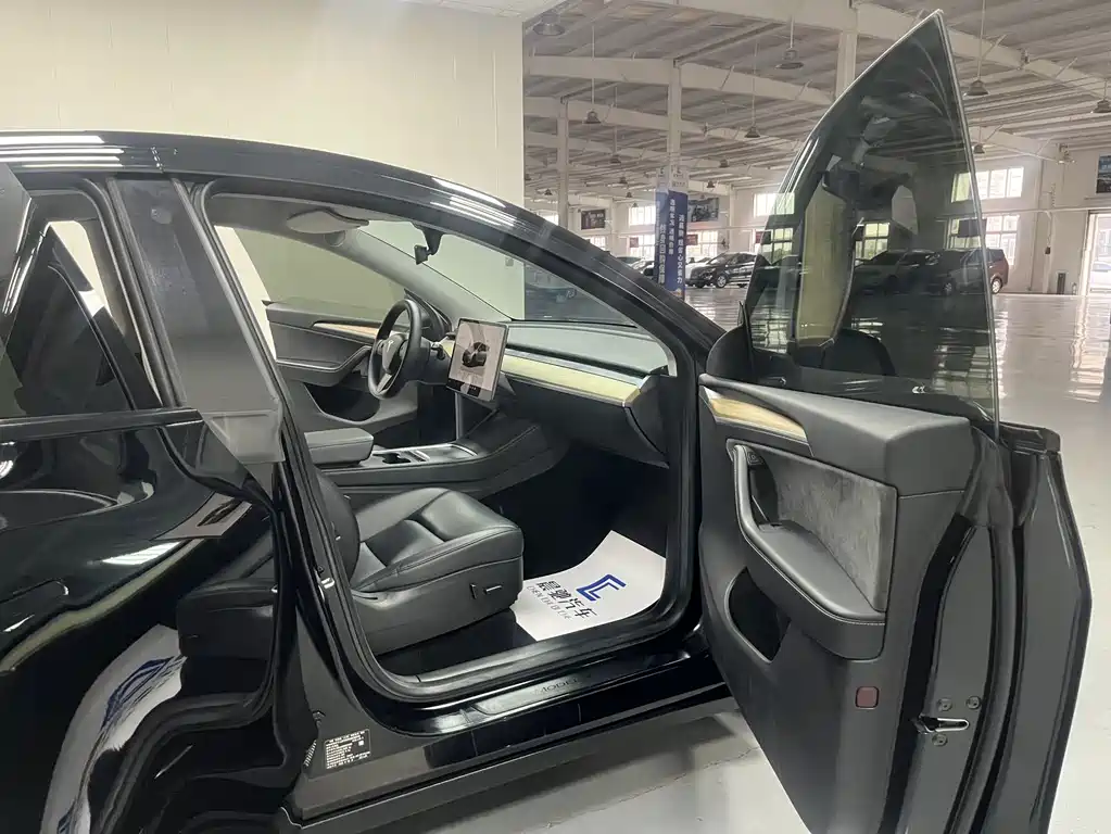 Tesla Model Y — миниатюра 10