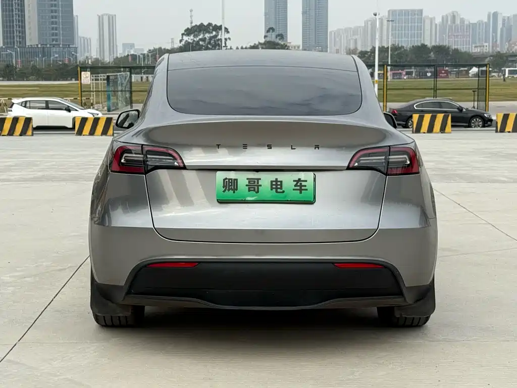 Tesla Model Y — миниатюра 5