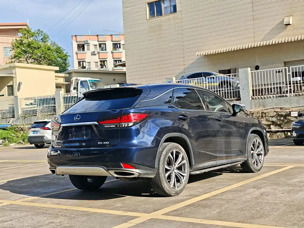 Lexus RX 2020 300 Elegant VI