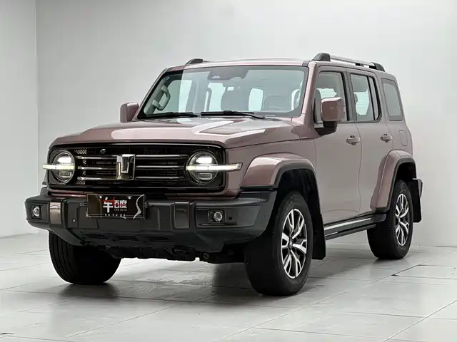 2022 TANK 300