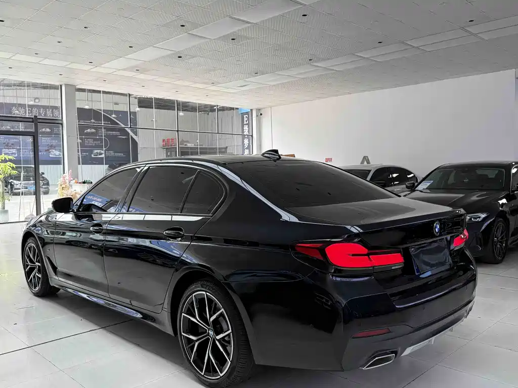 BMW 5 Series — миниатюра 4