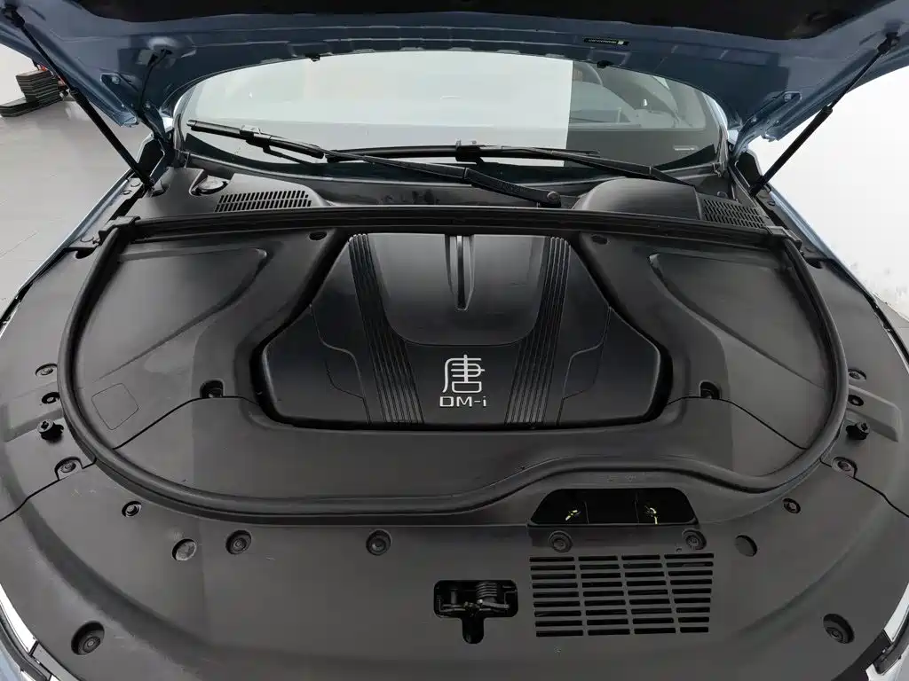 BYD Tang New Energy — миниатюра 6