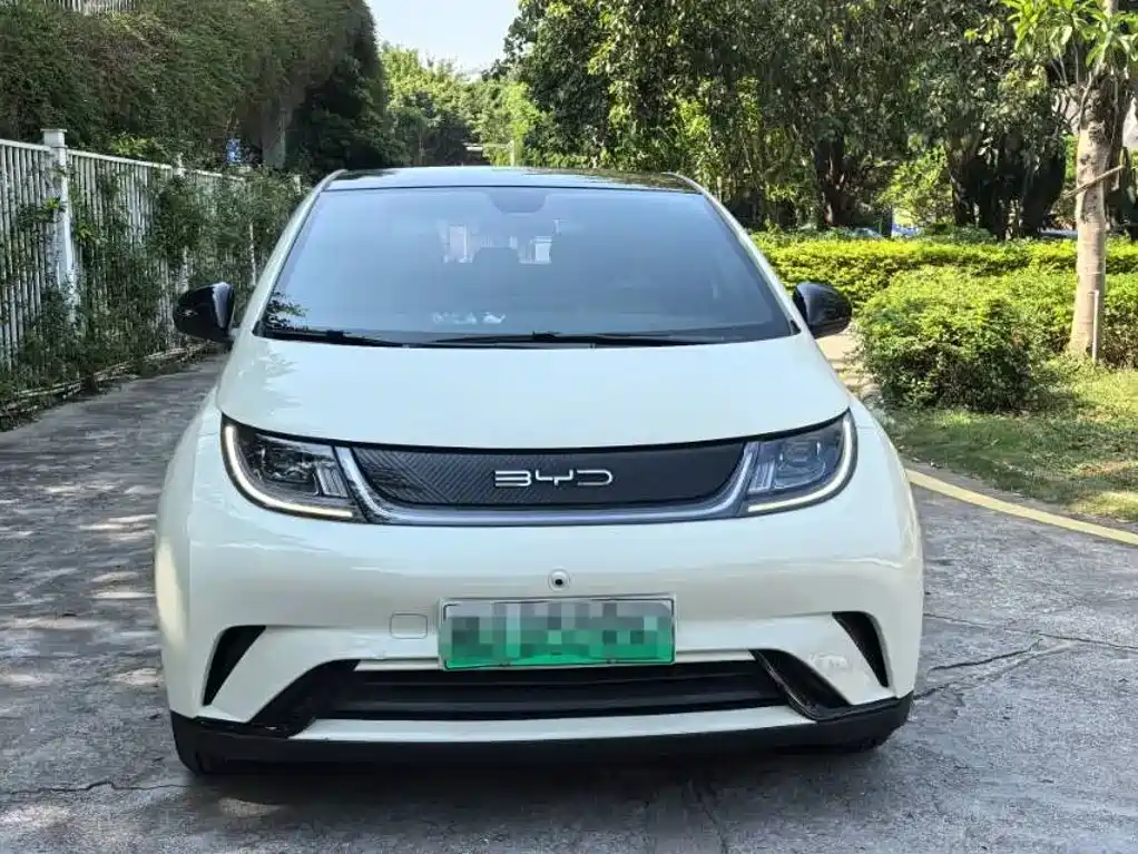 BYD Dolphin — миниатюра 2