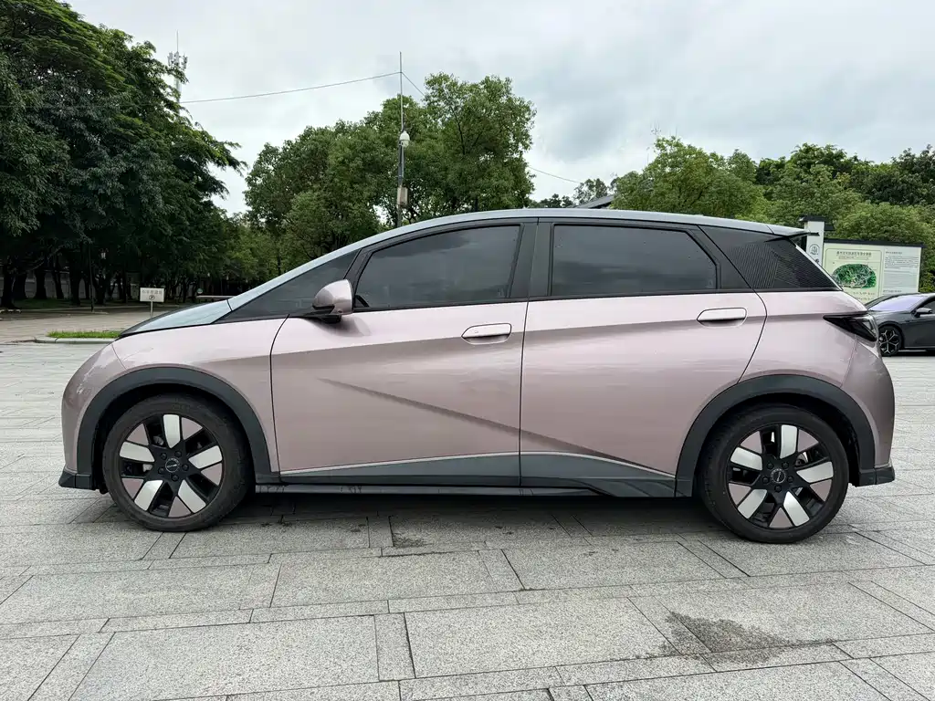 BYD Dolphin — миниатюра 13