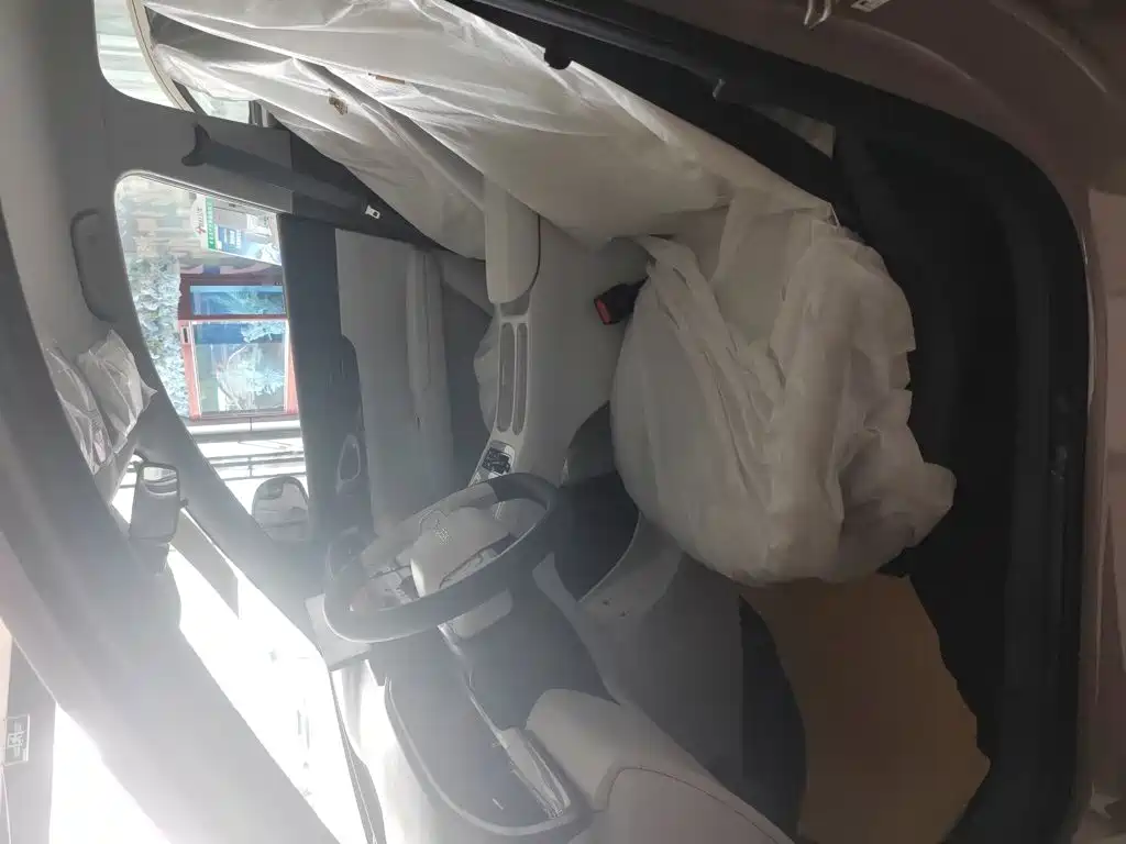 Geely Geome Xingyuan 2026 310km
