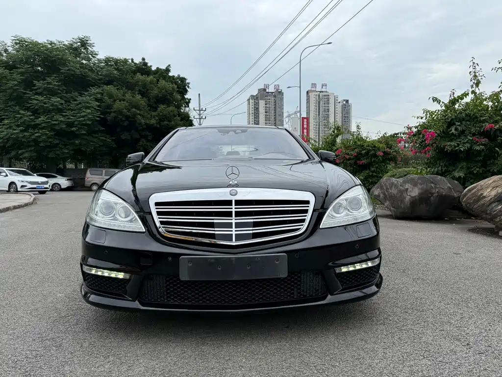 Mercedes-Benz S-Class A MG S AMG 2010 AMG S 65