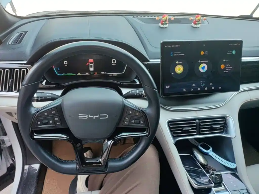 BYD PLUS New Energy — миниатюра 10