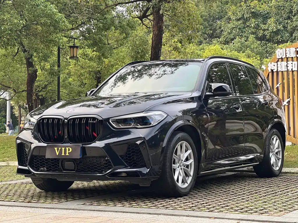 BMW X5 (Import) — миниатюра 2