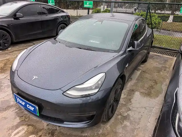 TESLA MODEL 3 2019