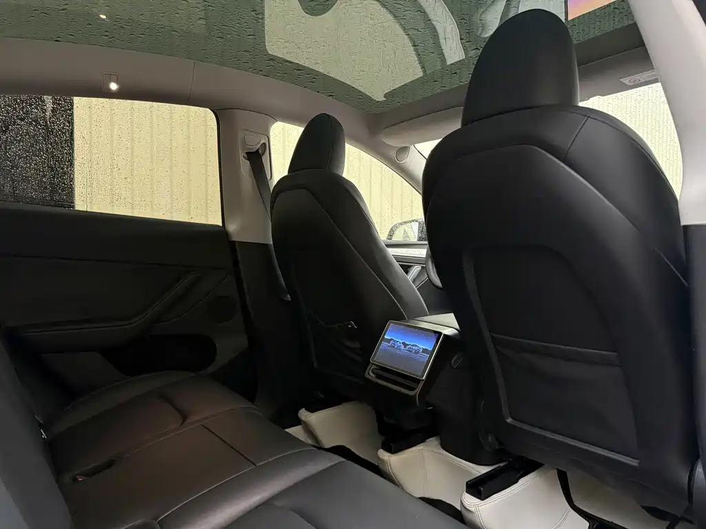 Tesla Model Y — миниатюра 22