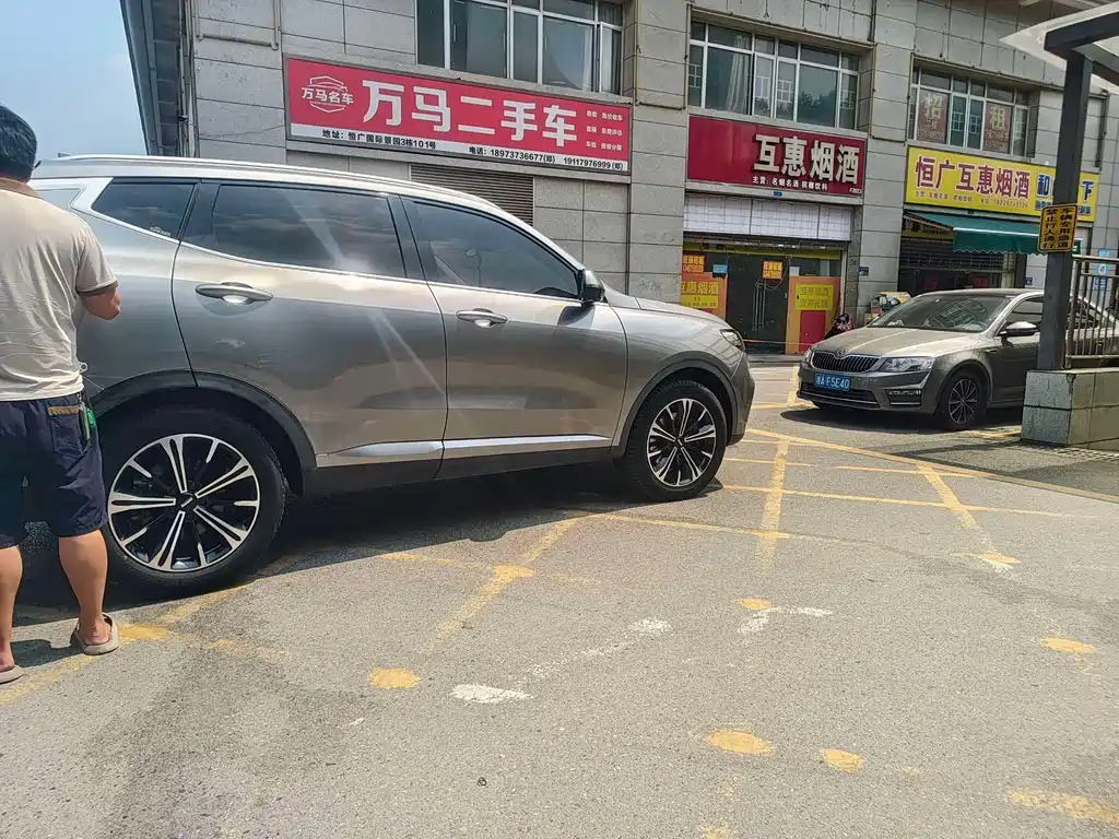 Wey Wey VV6 — миниатюра 7