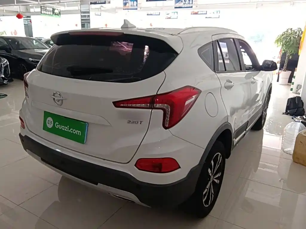Haima Haima S5 — миниатюра 7