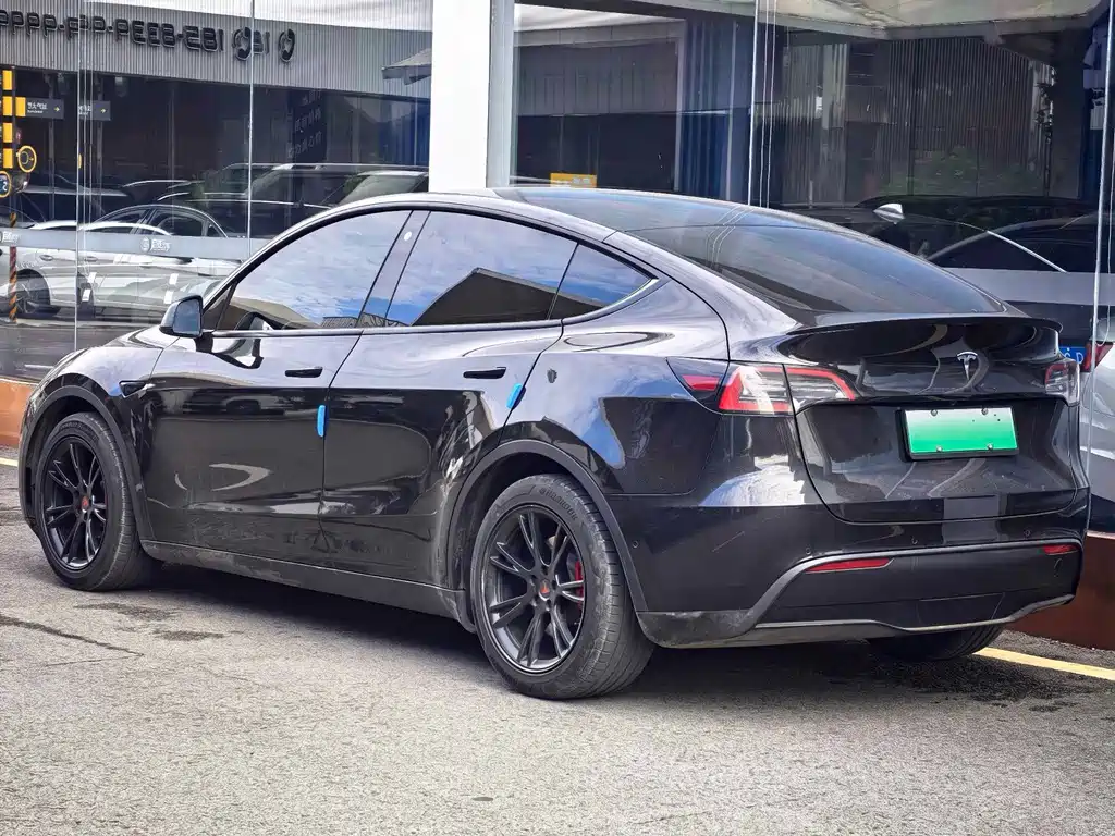Tesla Model Y — миниатюра 5