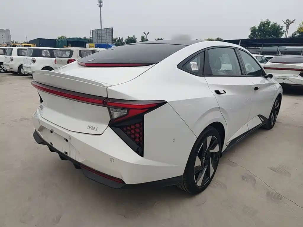 Lingxi Lingxi L — миниатюра 7