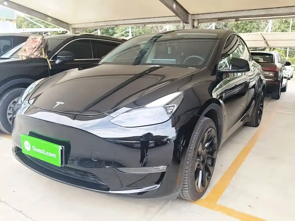 Tesla Model Y — миниатюра 2
