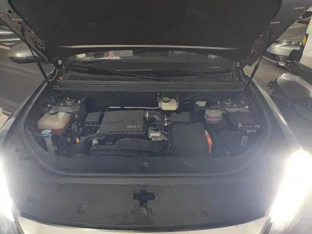 BYD Pro New Energy — миниатюра 16