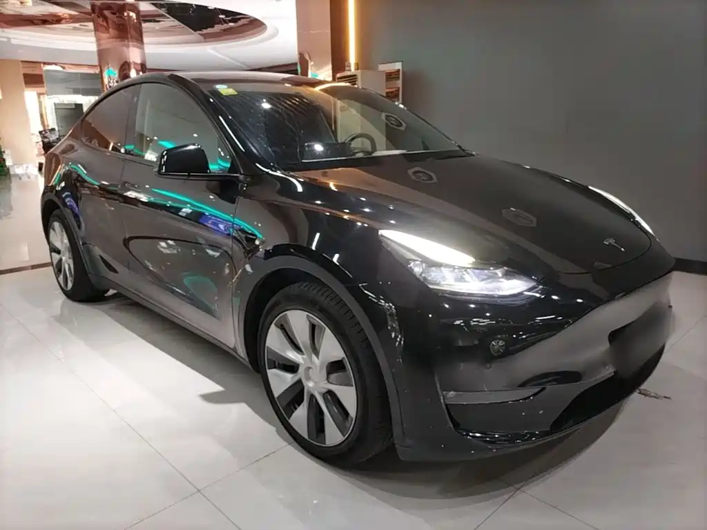 Tesla Model Y — миниатюра 4