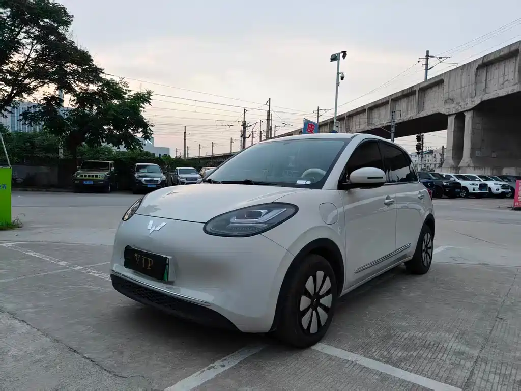 Wuling Bingo 2024