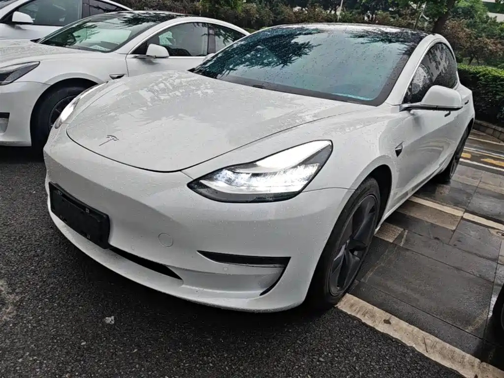 Tesla Model 3 2019