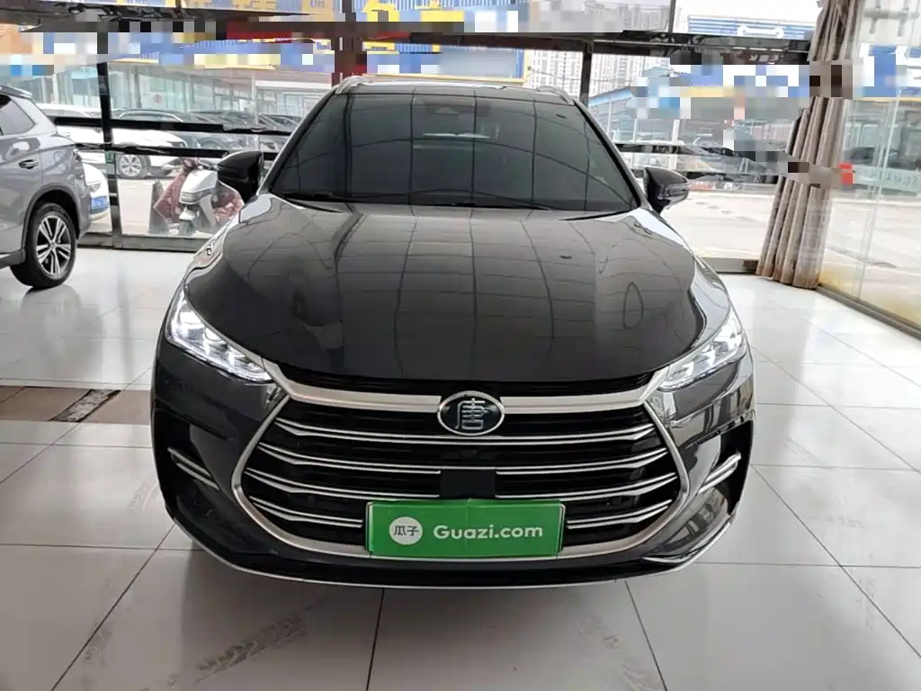 BYD Tang New Energy — миниатюра 3