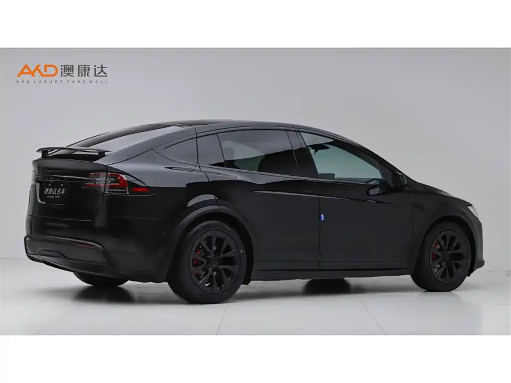 Tesla Model X — миниатюра 3