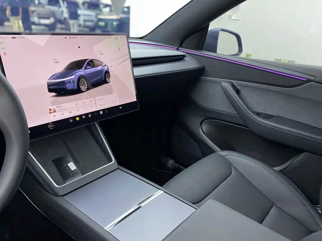 Tesla Model Y — миниатюра 27