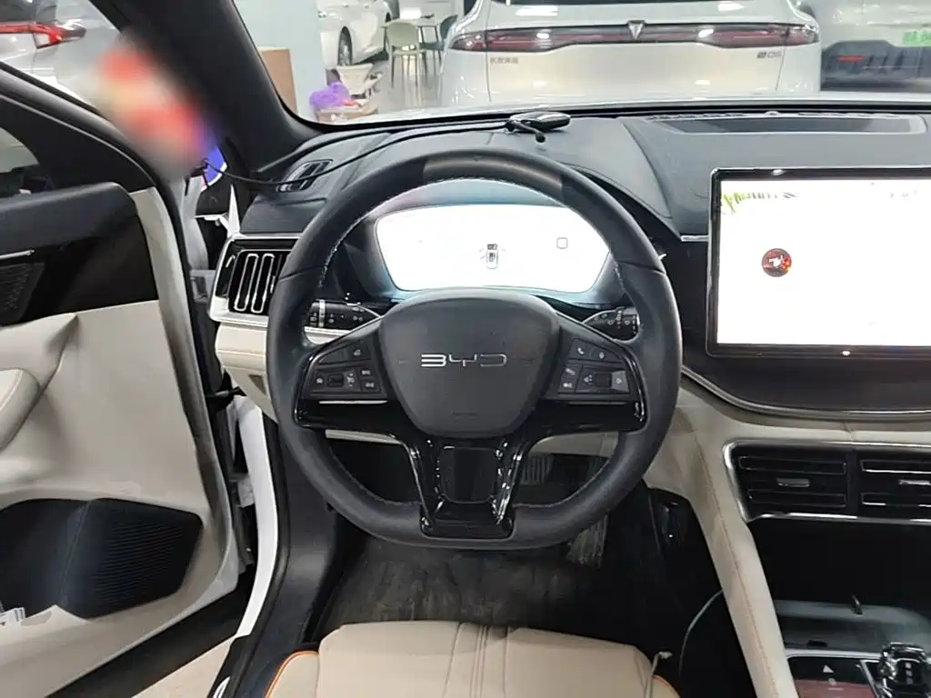BYD PLUS New Energy — миниатюра 11