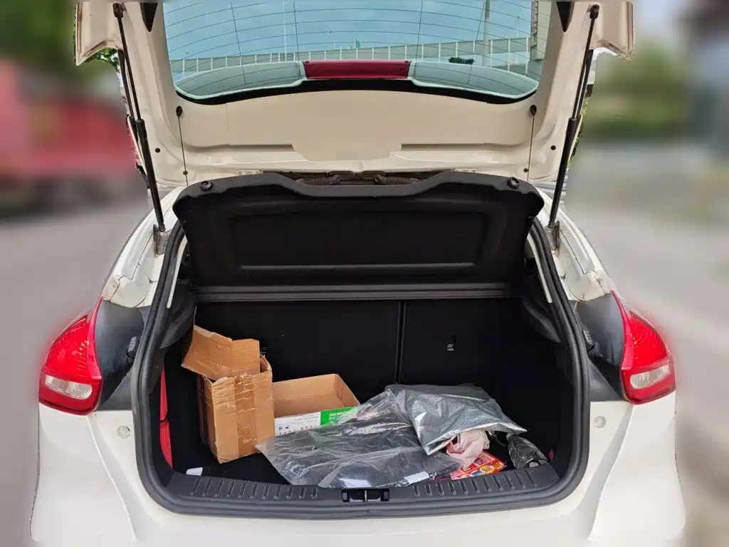 Ford Focus — миниатюра 20