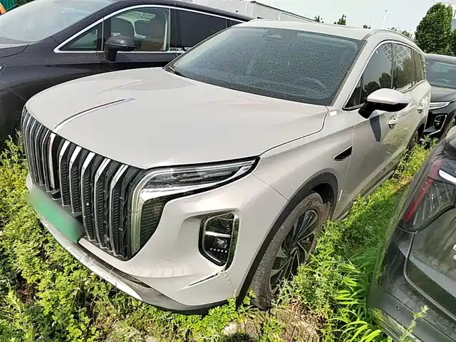 2024 Hongqi HS7