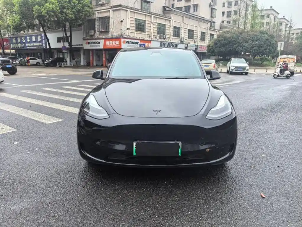 Tesla Model Y — миниатюра 3