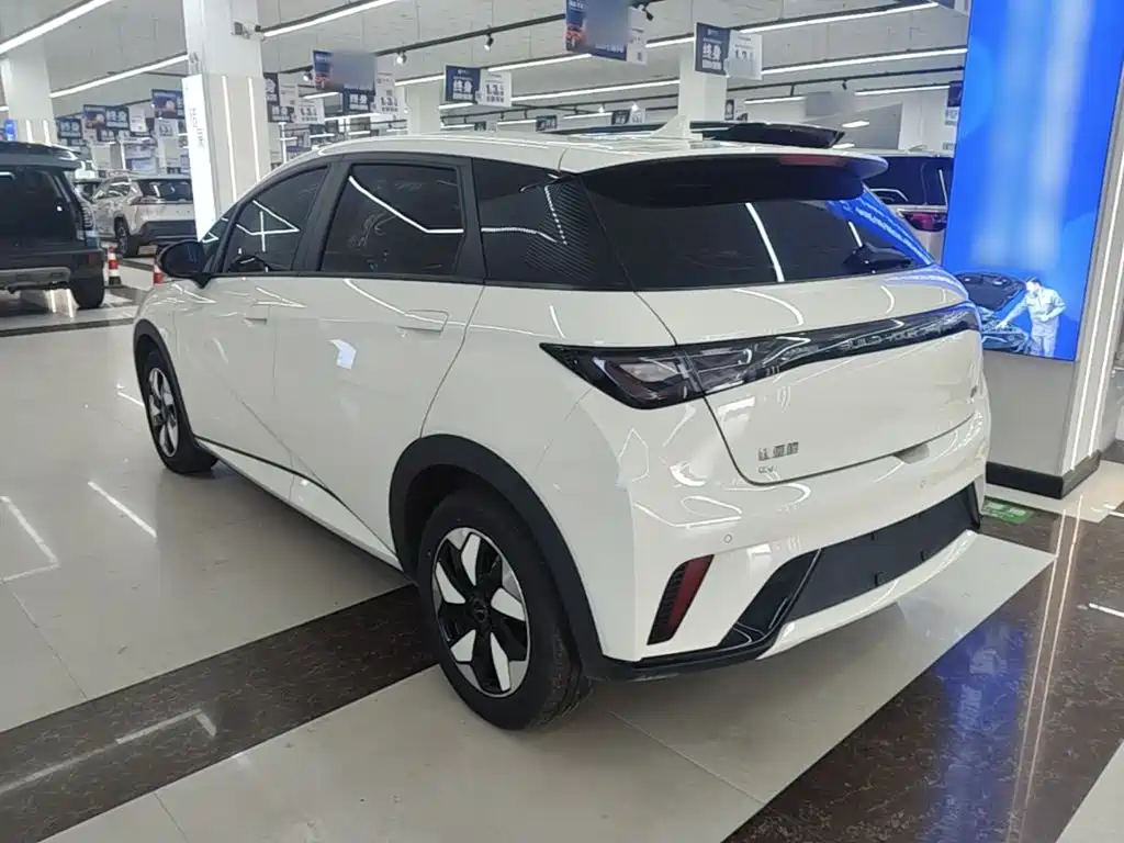 BYD Dolphin — миниатюра 5