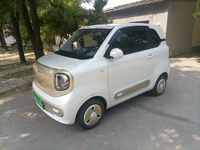 2025 Bestune Pony