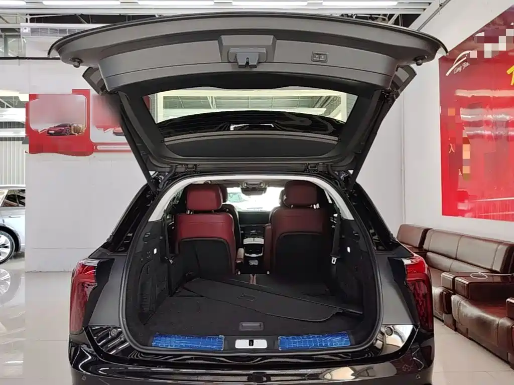 Hongqi Hongqi E-HS9 — миниатюра 19