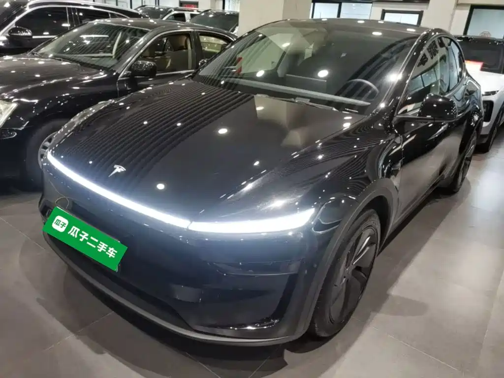 Tesla Model Y — миниатюра 2
