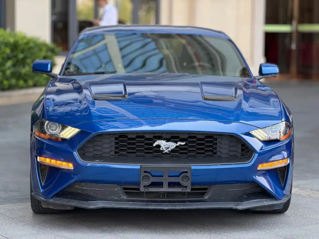 Ford Mustang — миниатюра 3