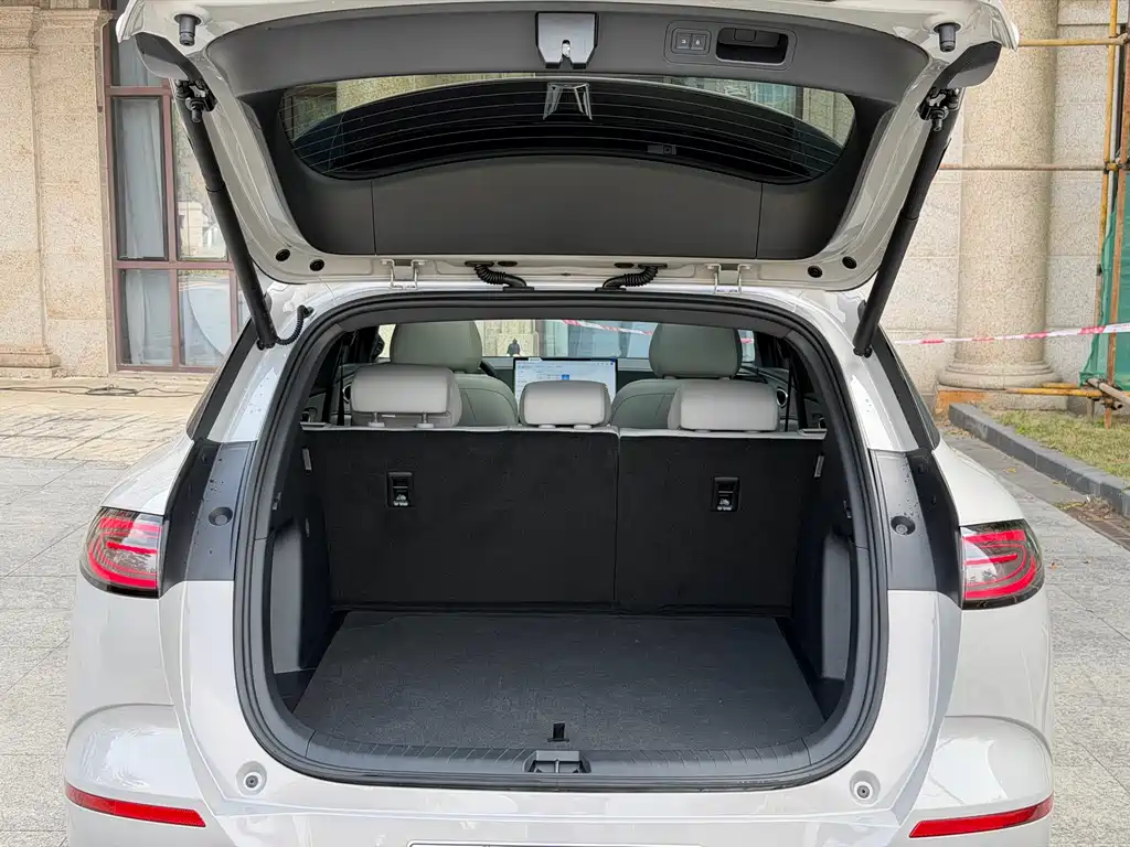 BYD SEA LION 06 NEW ENERGY