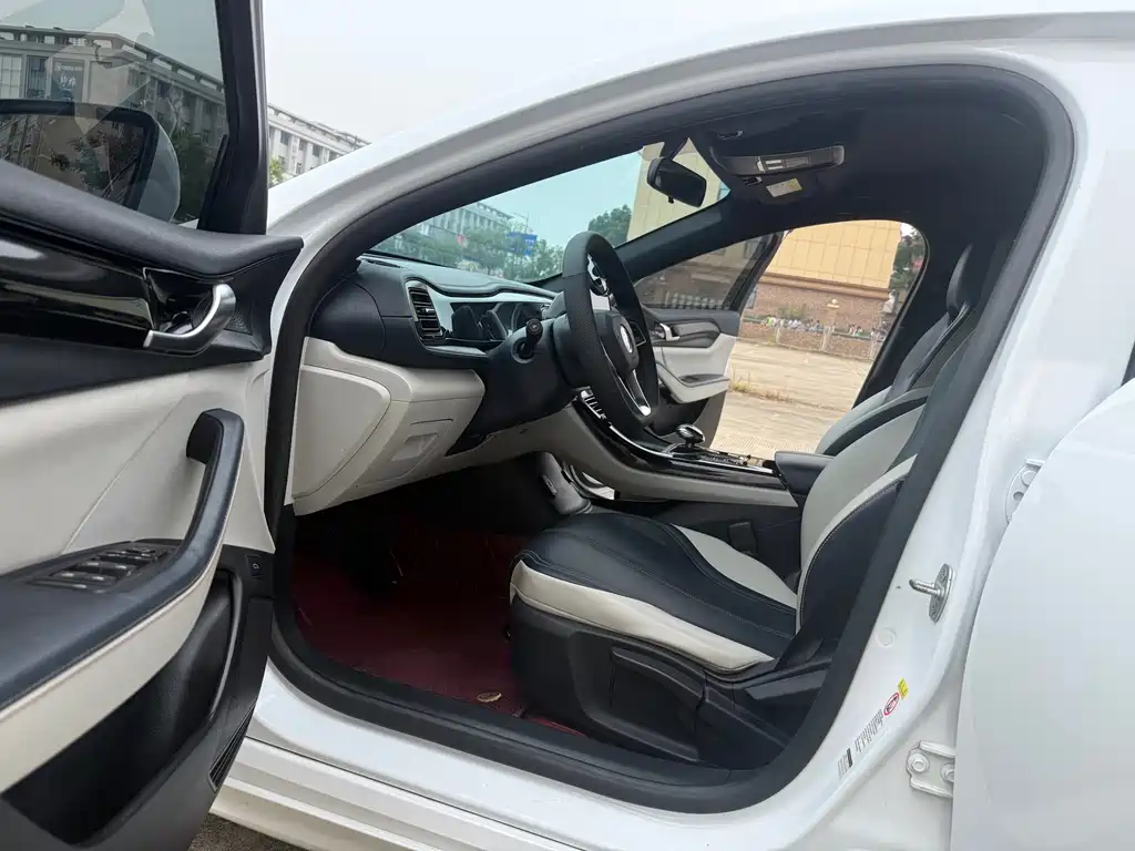BYD Qin PLUS — миниатюра 19