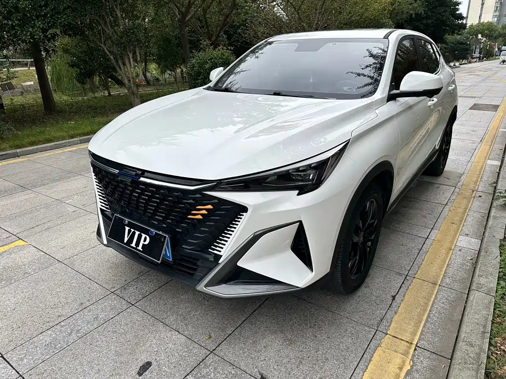 Oshan Oushang X5 PLUS — миниатюра 2