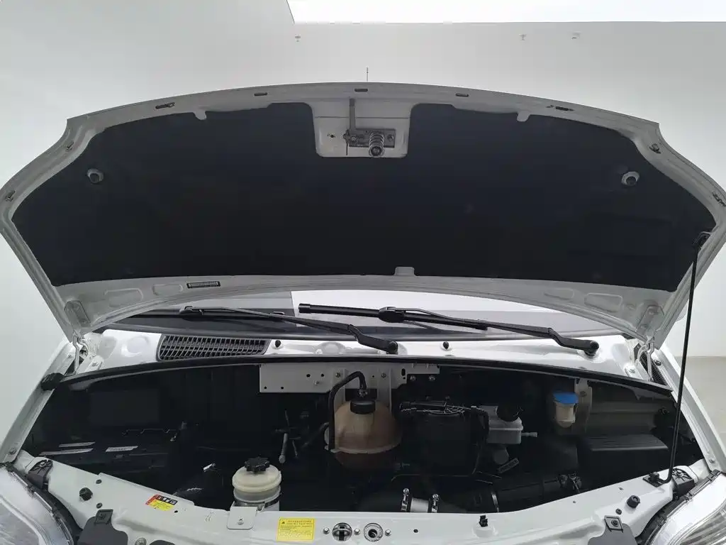 MAXUS V80 — миниатюра 6