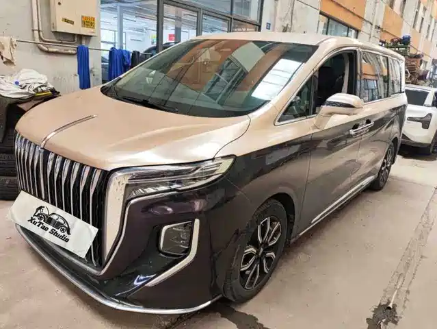 2023 Hongqi HQ9