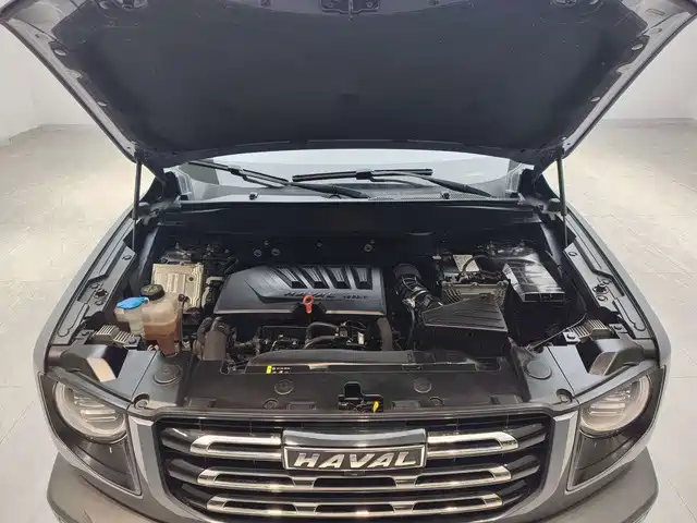 Haval Big Dog — миниатюра 14