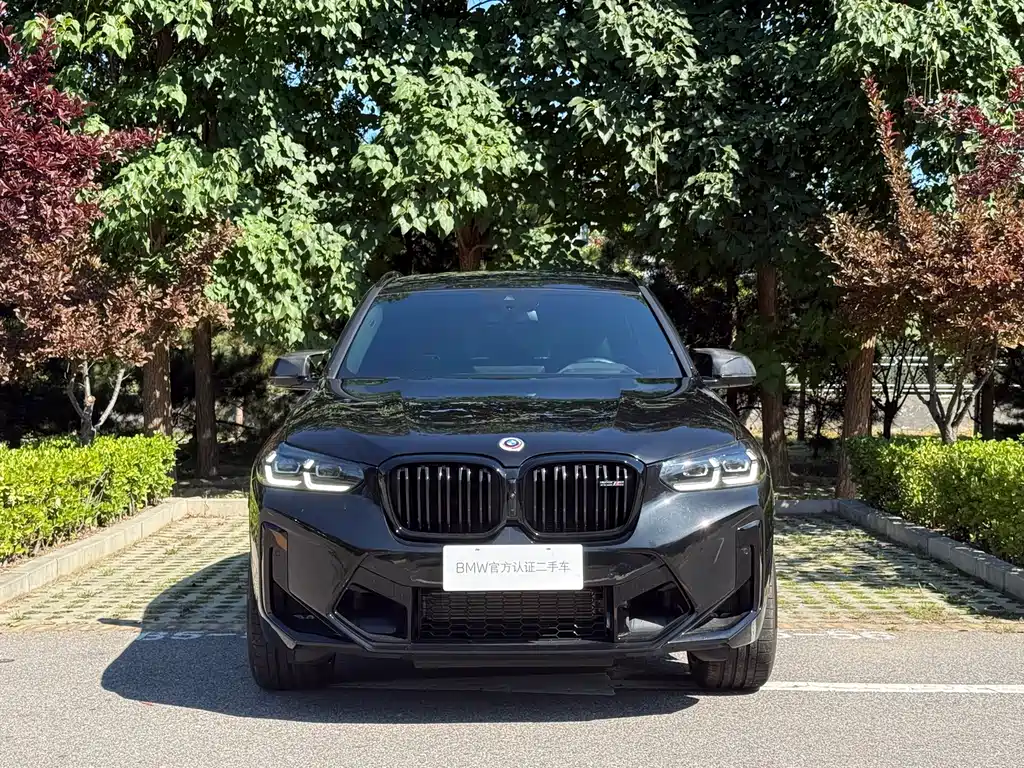 BMW X3 M — миниатюра 5