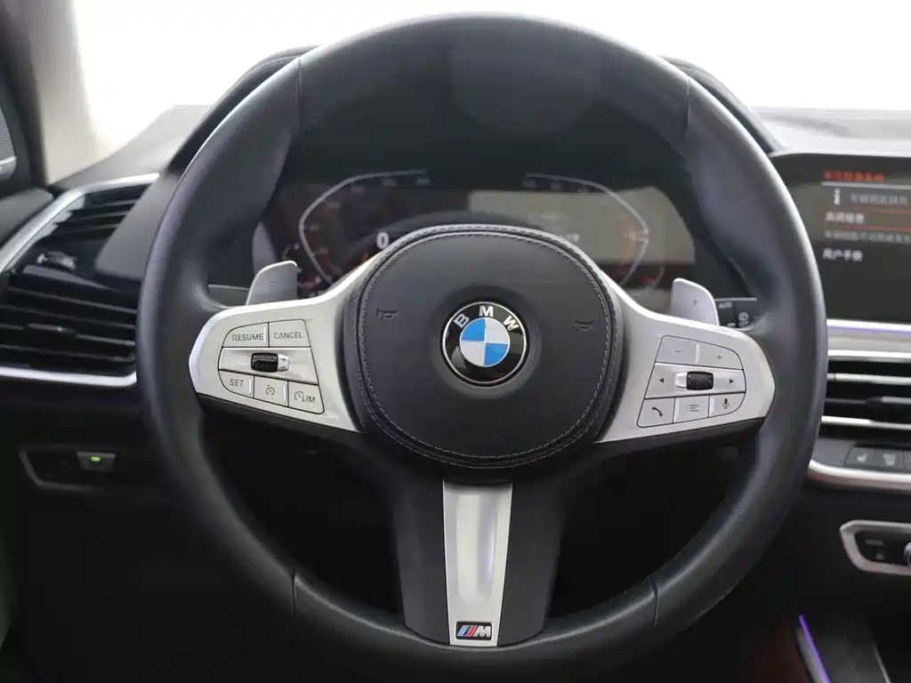 BMW X5 — миниатюра 4