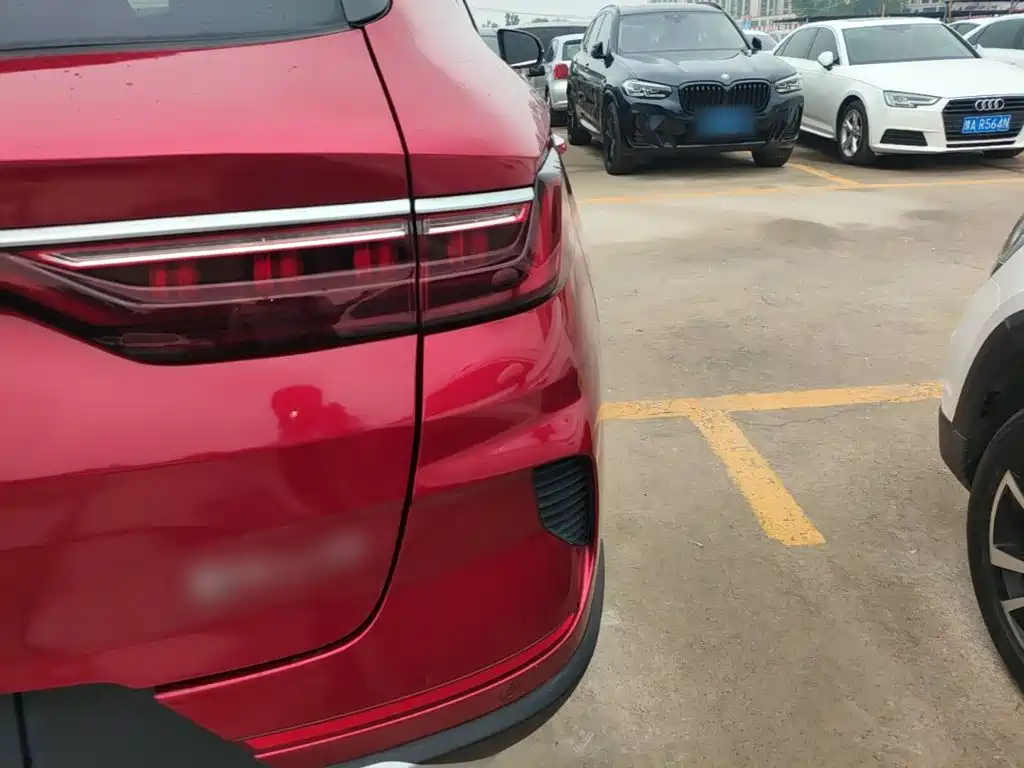 BYD PLUS — миниатюра 8