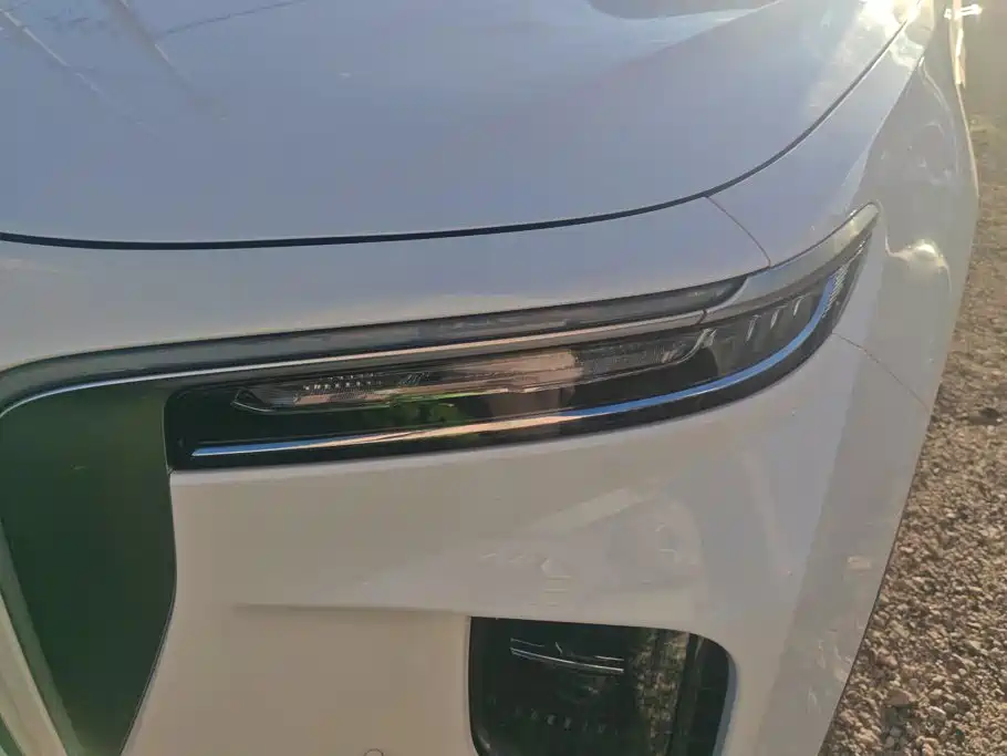 Hongqi Hongqi E-HS9 — миниатюра 5