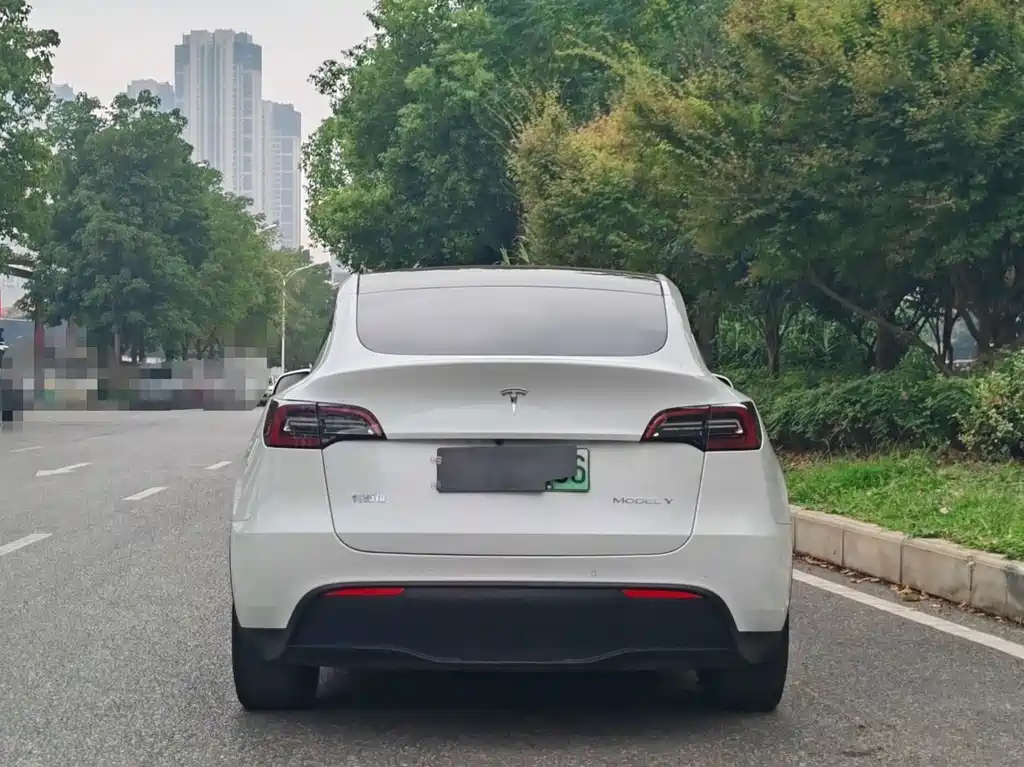 Tesla Model Y — миниатюра 5